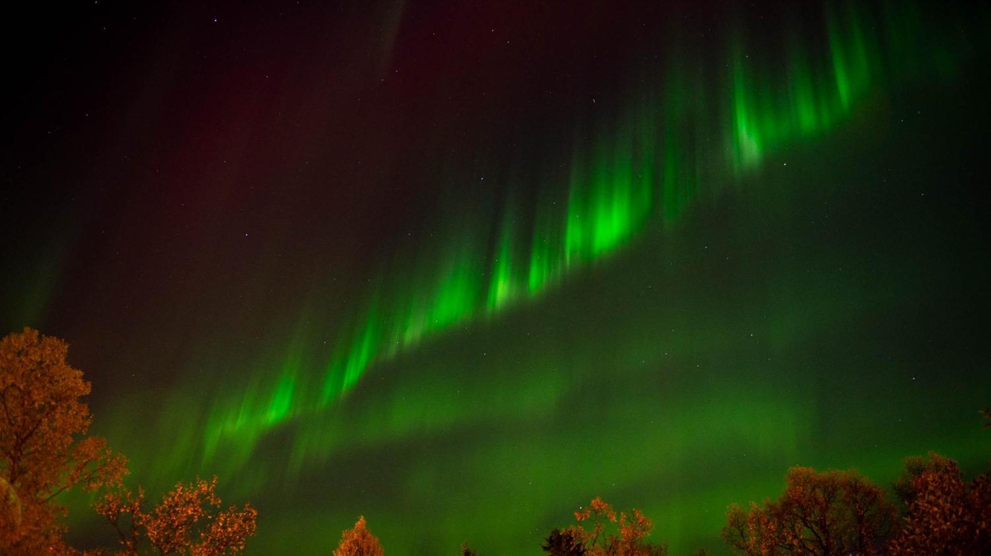 Near The * Tromsø